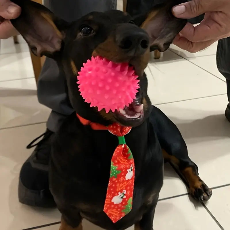 Teeth Cleaning Dog Ball